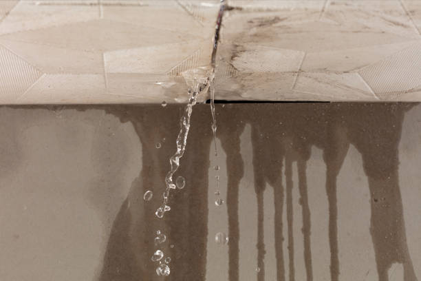 Professional Water Damage Inspection technician working in Aurora, TX